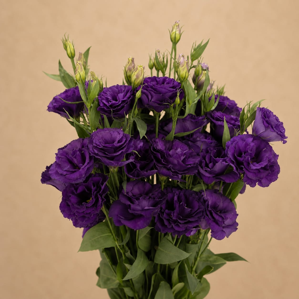 Bouquet of purple lisianthus flowers with green buds