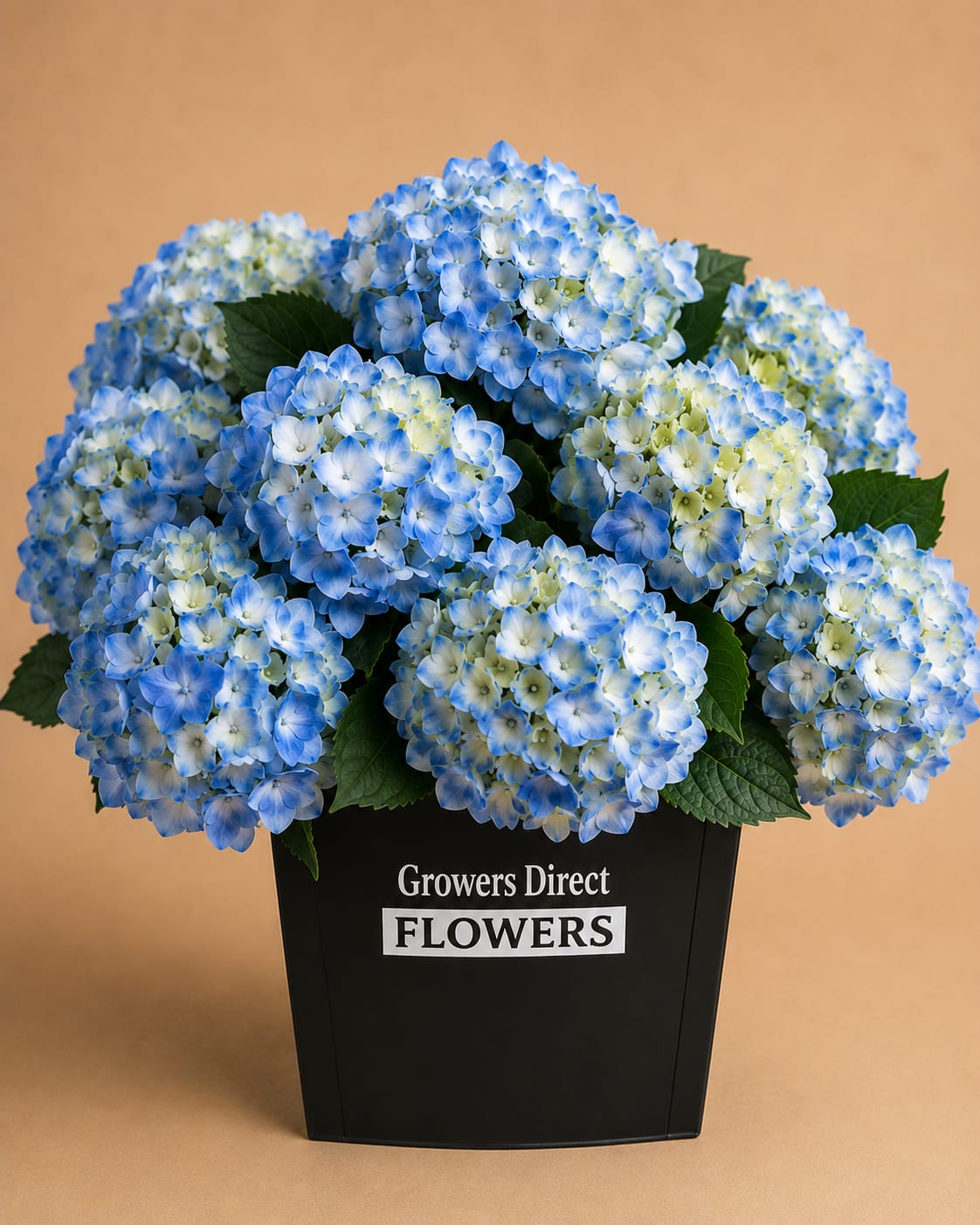 Blue hydrangea bouquet in a black container
