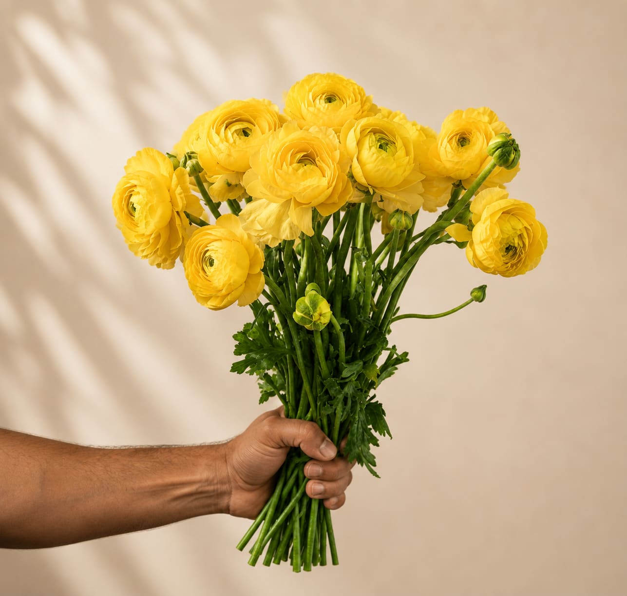 Handheld bouquet of yellow ranunculus flowers