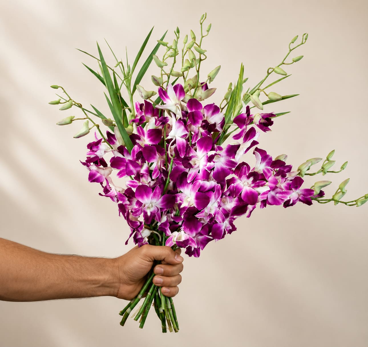 Bombay Dendrobium Orchid - Dendrobium Orchids contains 10 stems per bunch
