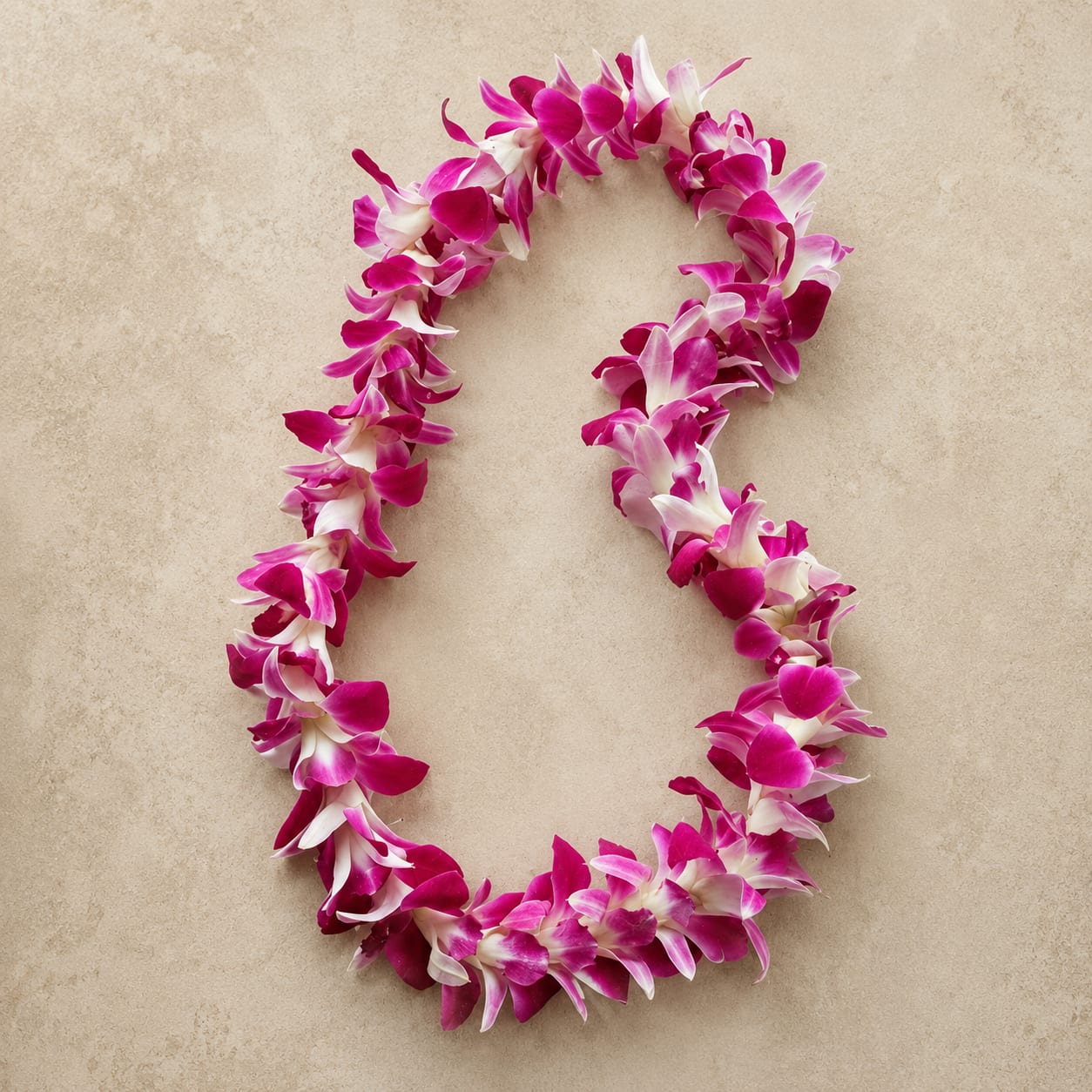 Single Lei Bombay  - Single Lei Bombay  Occasion: Graduation 
