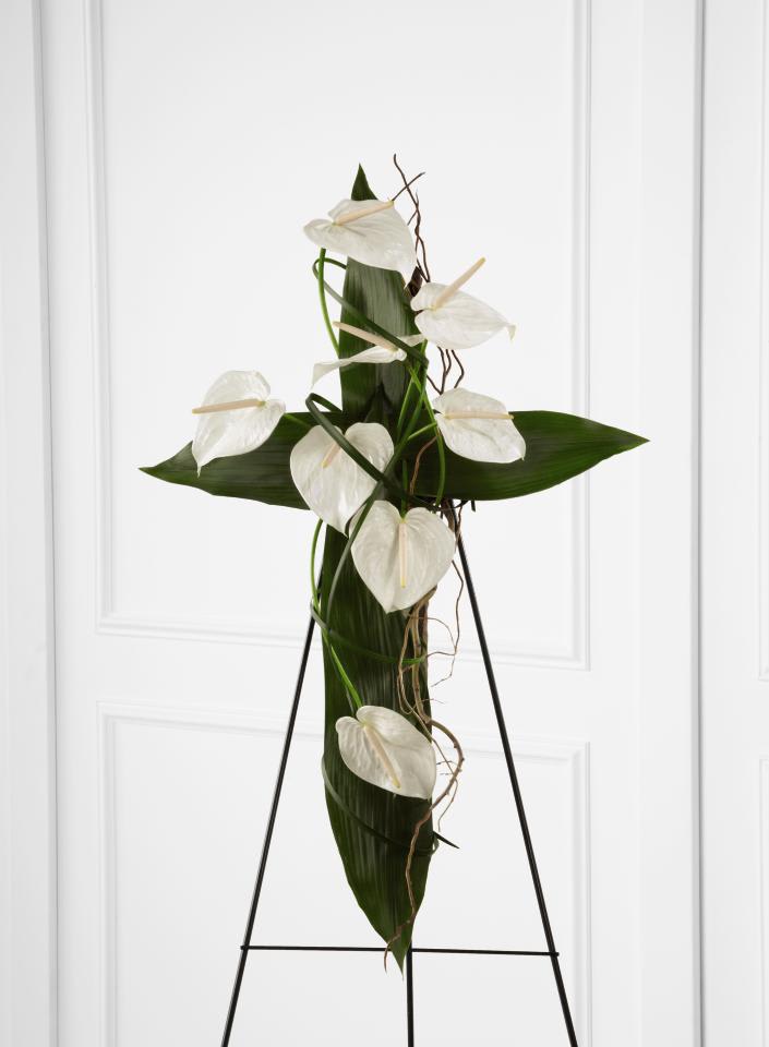 FTD Living Cross Easel - The FTD Living Cross Easel is a unique and moving arrangement   that offers elegance and graceful beauty to commemorate the life and   faith of the deceased. Aspidistra leaves form an exquisite cross   accented with white anthurium blooms, lily grass and curly willow tips   to create an exceptional tribute for their memorial service. Displayed   on a wire easel.     32""h x 20""w  "
