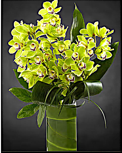Green orchid bouquet in a tall glass vase