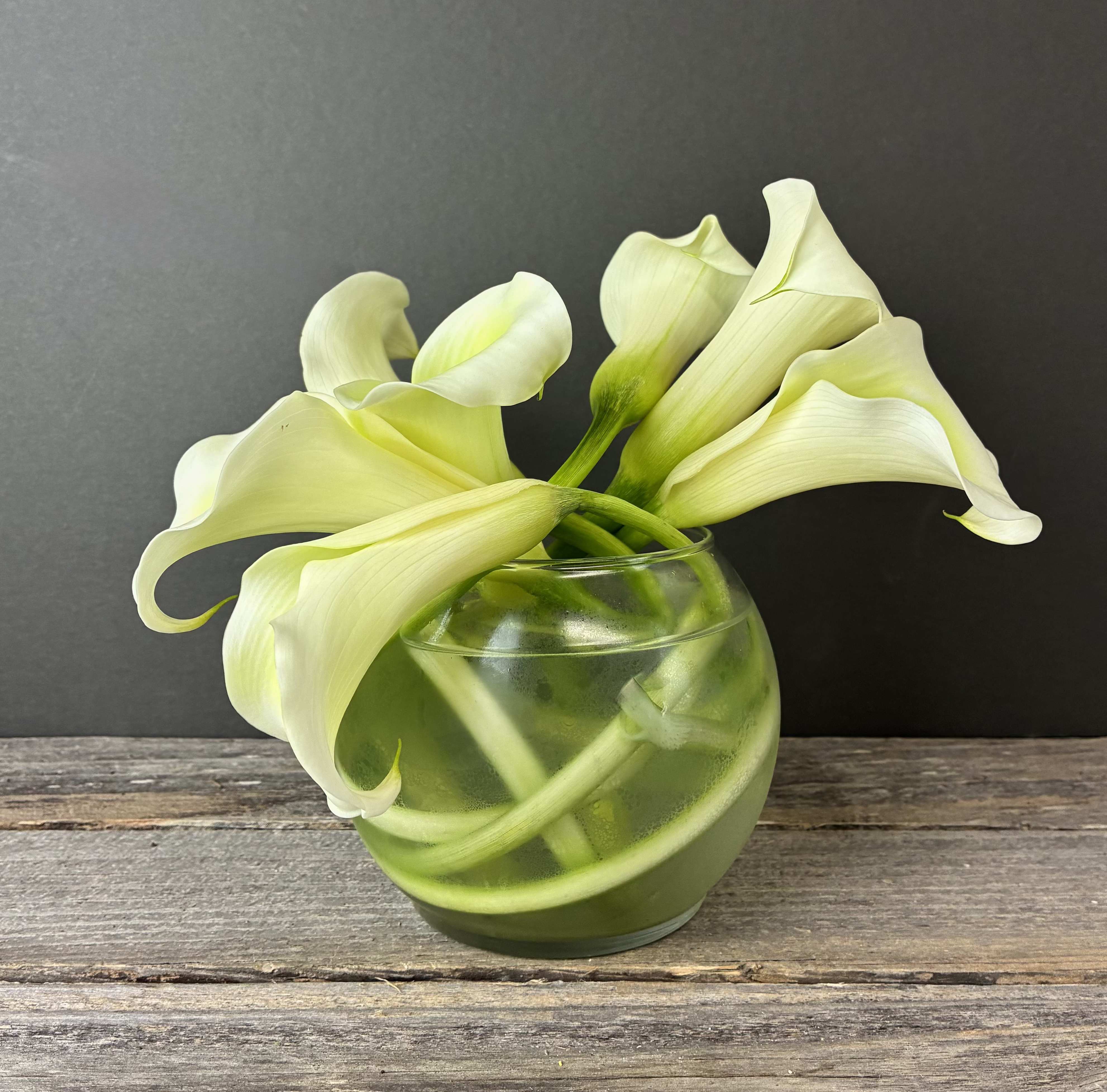 Curving Callas- 48hour Notice Required - Elegant calla lilies with delicately curved stems in a low bubble bowl. To ensure we have calla lilies on hand, please order no sooner than 48 hours before your desired delivery date.
