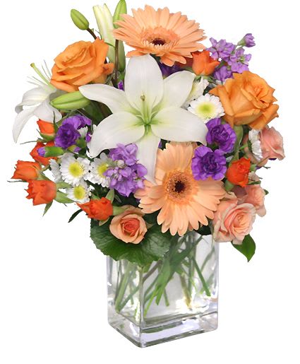 Mixed bouquet of orange, white, and purple flowers in a glass vase