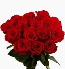 Bouquet of red roses with green foliage