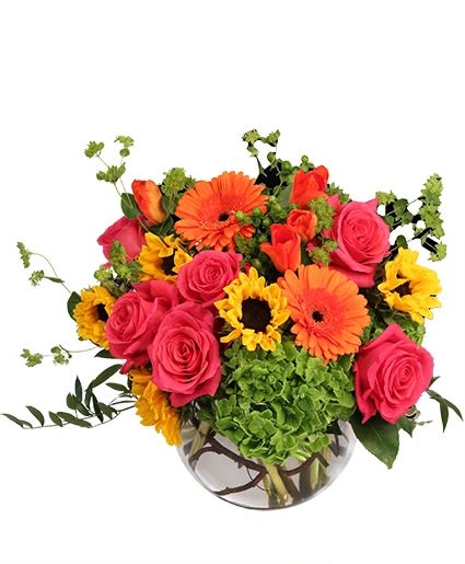 Sunny Citrus Charm - A bubble bowl bursting with color! Sunflowers paired with gerberas, roses and hydrangeas! 