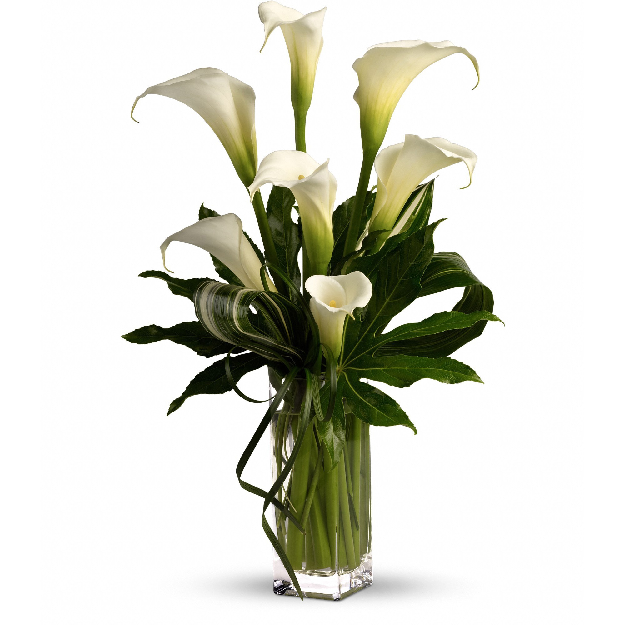 White calla lilies arranged in a clear glass vase