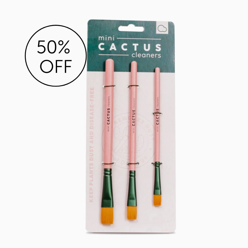 Pack of three mini cactus cleaning brushes on retail packaging