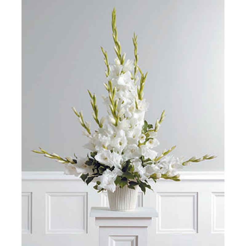 Radiant Glads Aarrangement - All white gladiolus are a traditional offering of sympathy. 