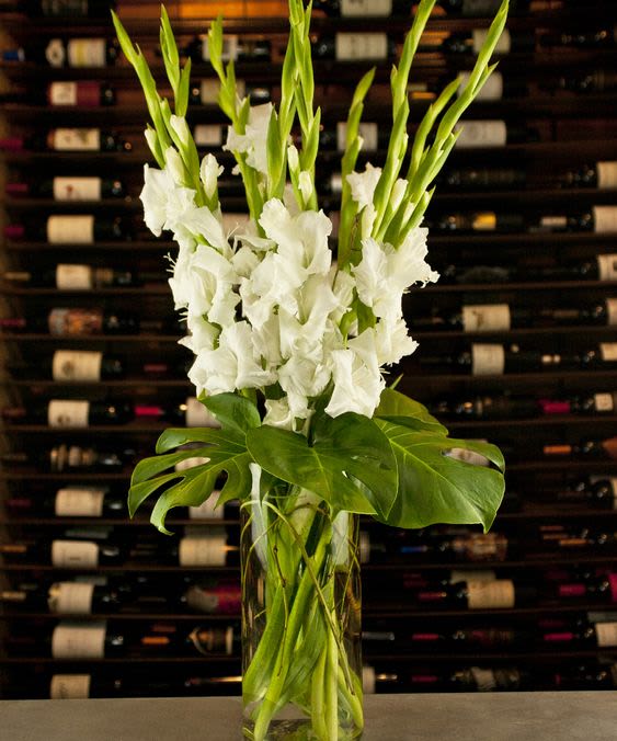 White Glads with Tropical leaves  - Modern Look on White Glads with Tropical Leaves. Great gift for and August birthday 