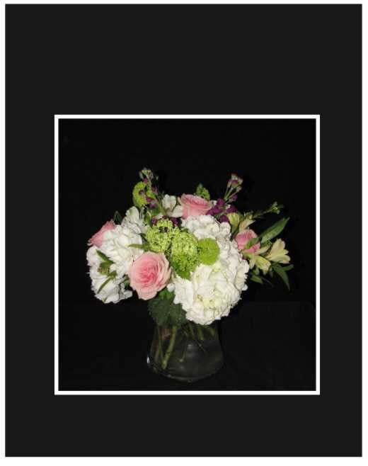 Garden Fresh Arrangement -   Low compact arrangement with 3 hydrangea, pink roses, stocks, alstromeria, viburnum all make for a sophisticated styled arrangement  Approximate Size: 16"h x 16"w