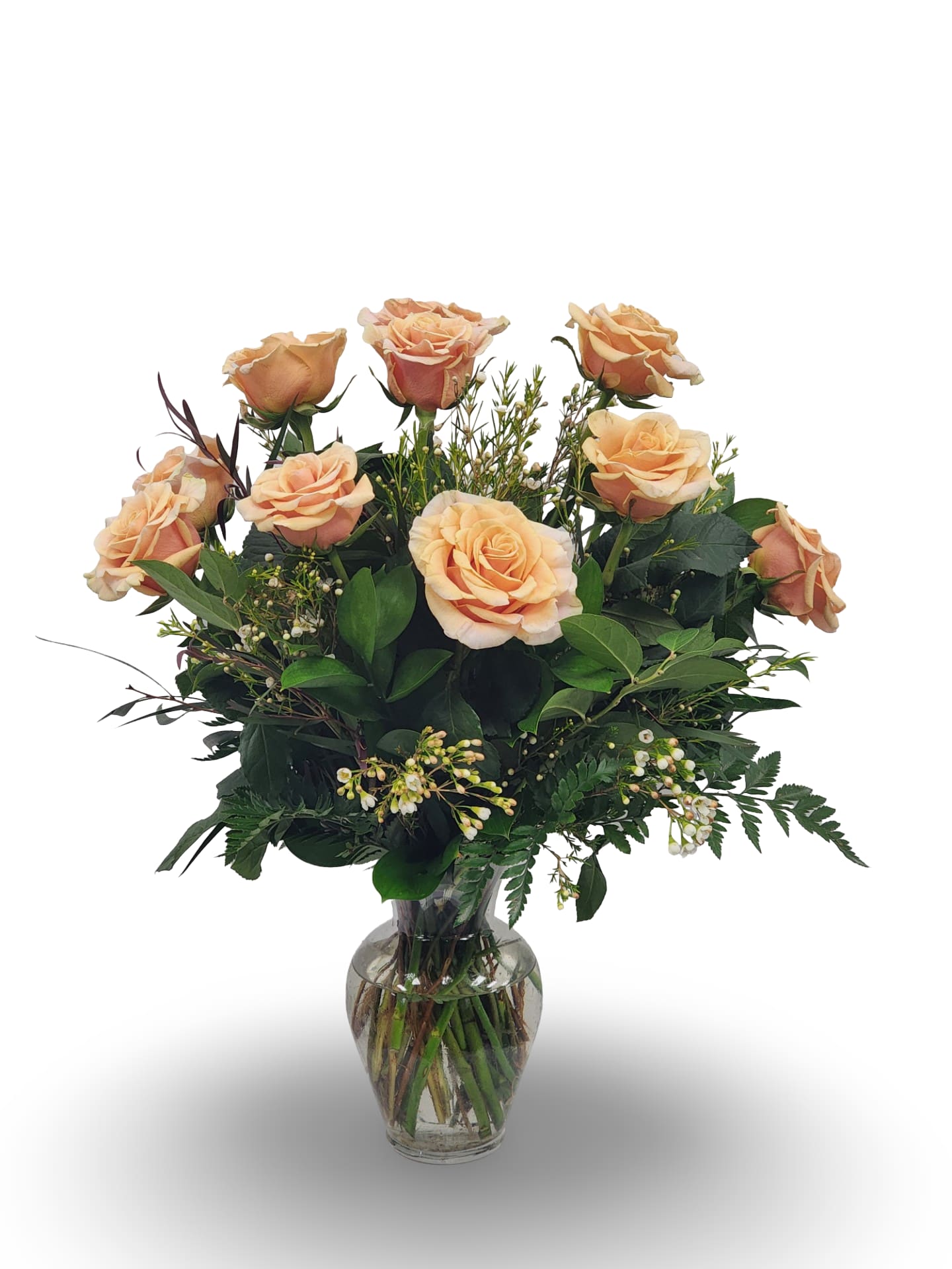 Medium Stem Dozen Peach Roses - Select this unique and beautiful medium stem dozen peach roses with filler and greens. Filler flower will vary.