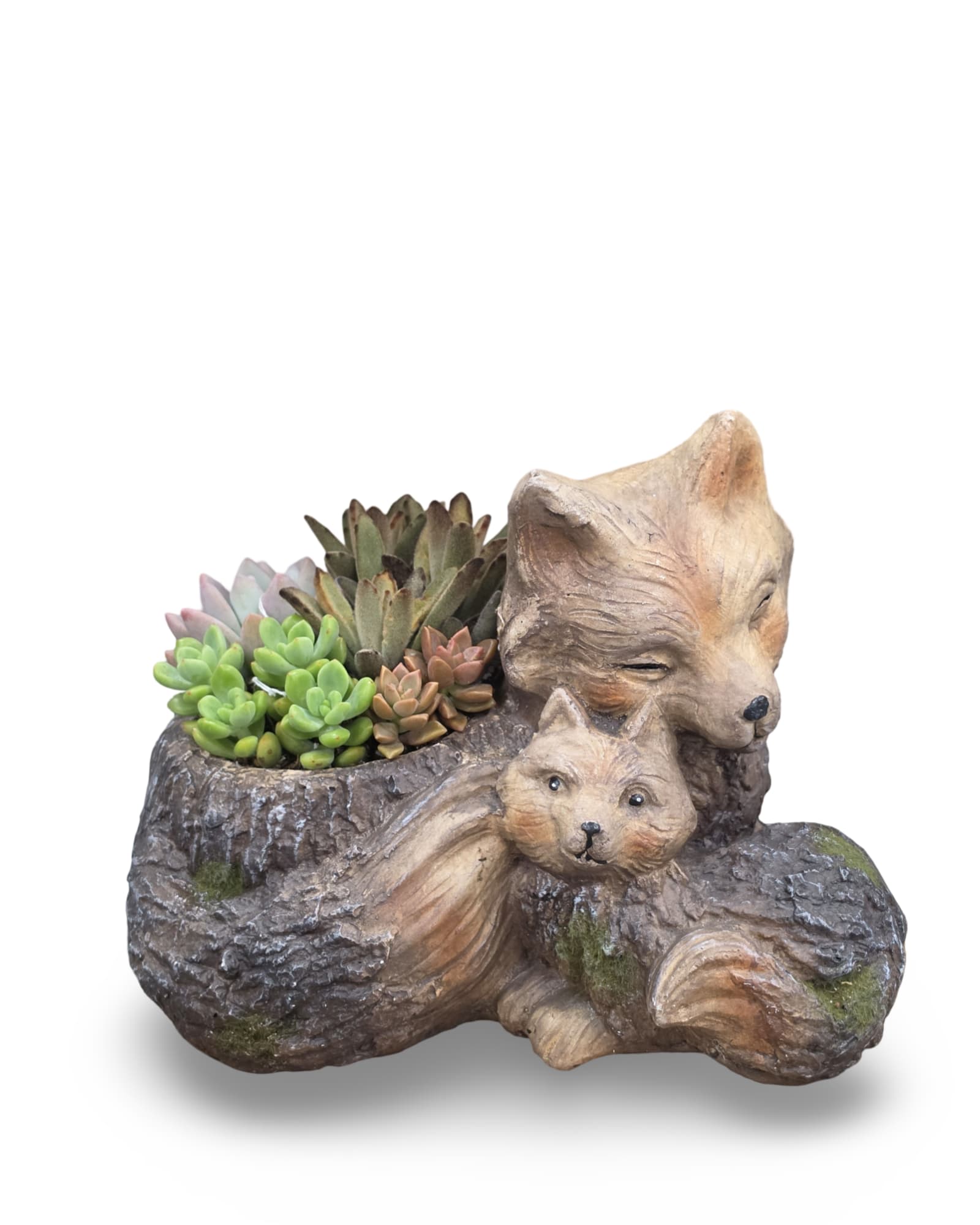 Sleeping Fox Succulent Planter - Select this cute and cuddly ceramic fox with succulents. Approximately 10.5" tall and 12" wide.