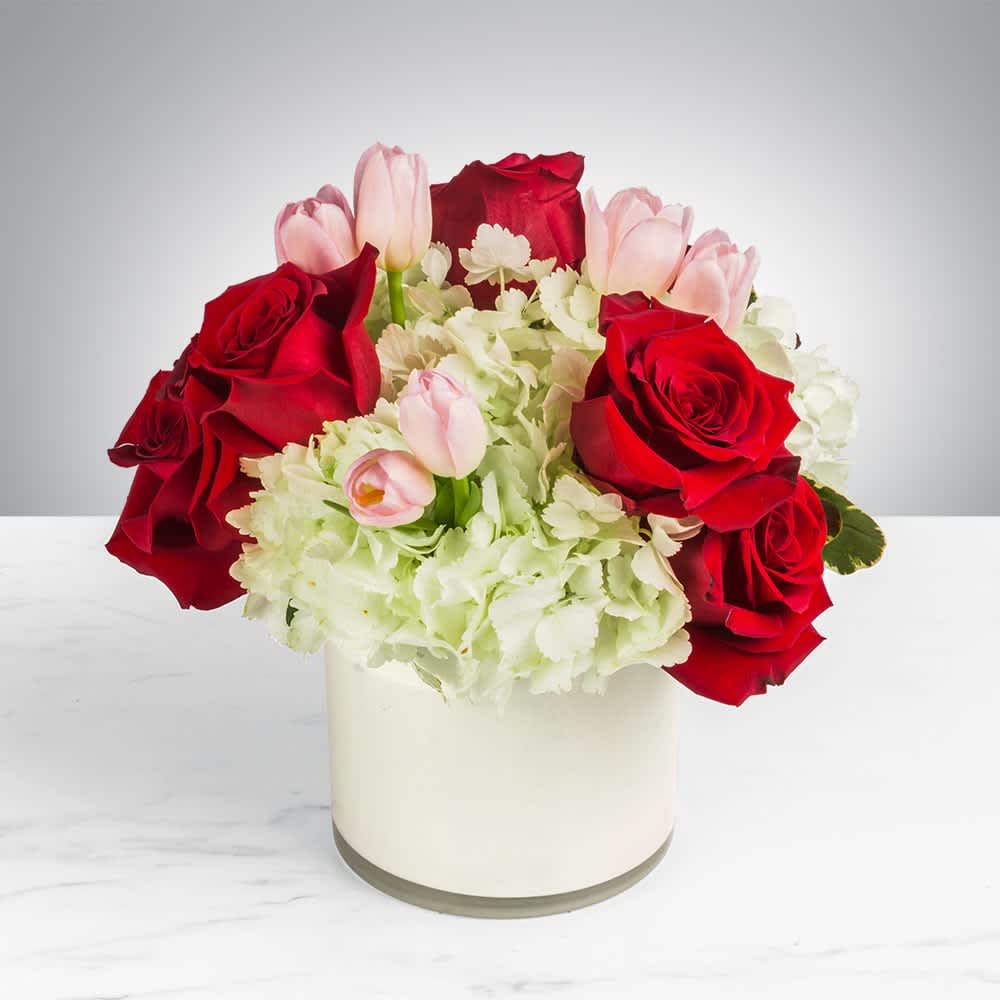 Low arrangement of red roses, pale pink tulips, and white hydrangeas in a white cylinder vase