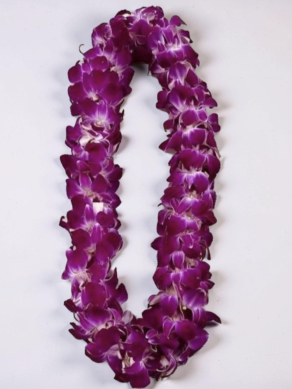 Lei Aloha Designs - A lush loop of densely strung purple orchid blooms-this lei-style flower arrangement is a festive choice for celebrations and special occasions like graduations, welcome ceremonies, or a heartfelt aloha greeting. The rich violet petals form a saturated, tactile surface while small white centers catch the eye, creating a refined contrast that reads elegant and ceremonial.  Crafted as a long loop of closely packed orchids, the design emphasizes color and texture over added greenery or embellishment, making the flowers the clear focal point. The purple-and-white palette feels both vibrant and graceful; dimensions mirror traditional lei proportions for comfortable wear or display. Ideal for honoring someone at a milestone or offering a warm island-style welcome, these orchids arrive ready to drape, present, or hang-simple care includes keeping blooms cool and misted until gifted.