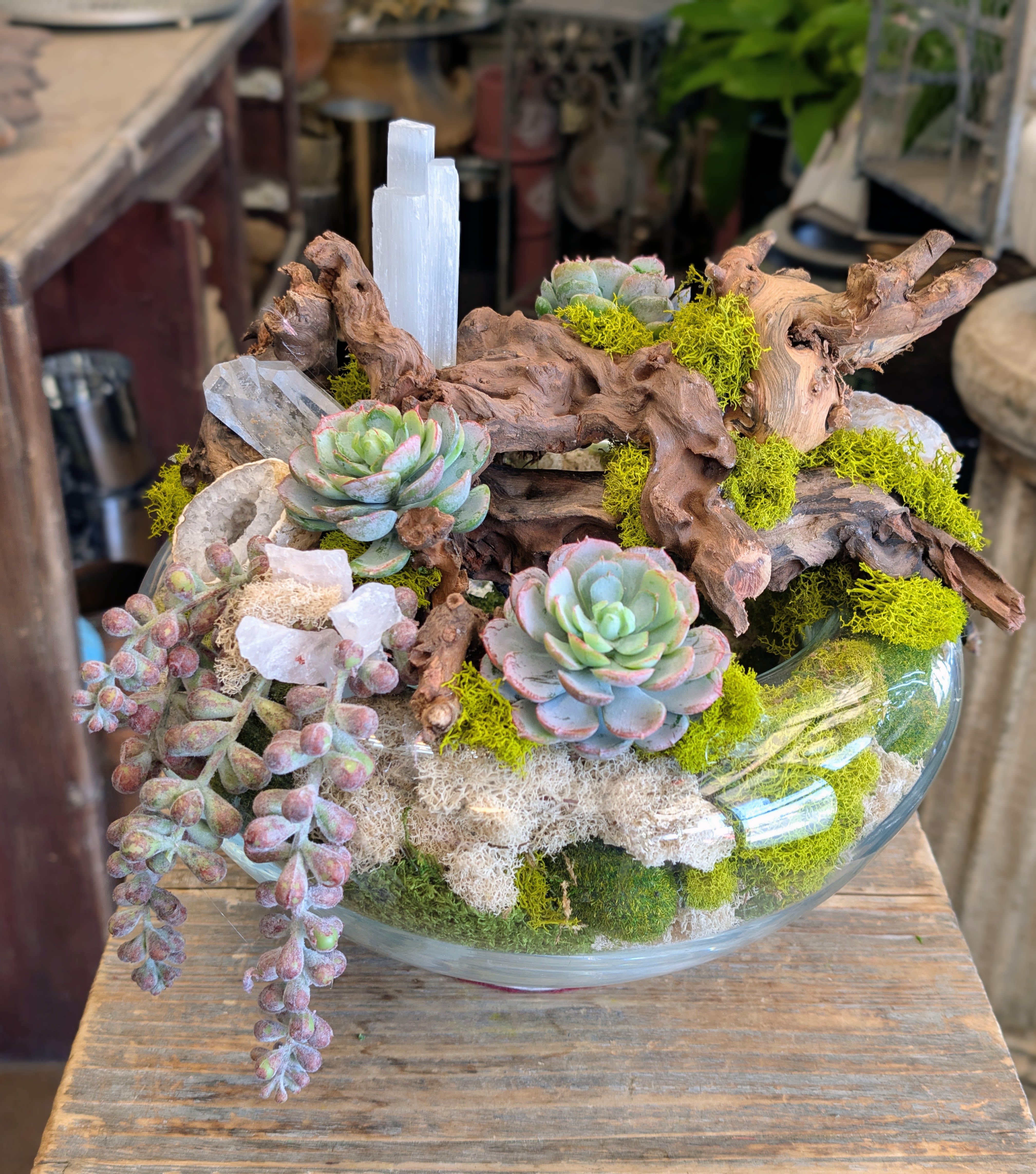 Succulent arrangement in a glass bowl with driftwood and moss