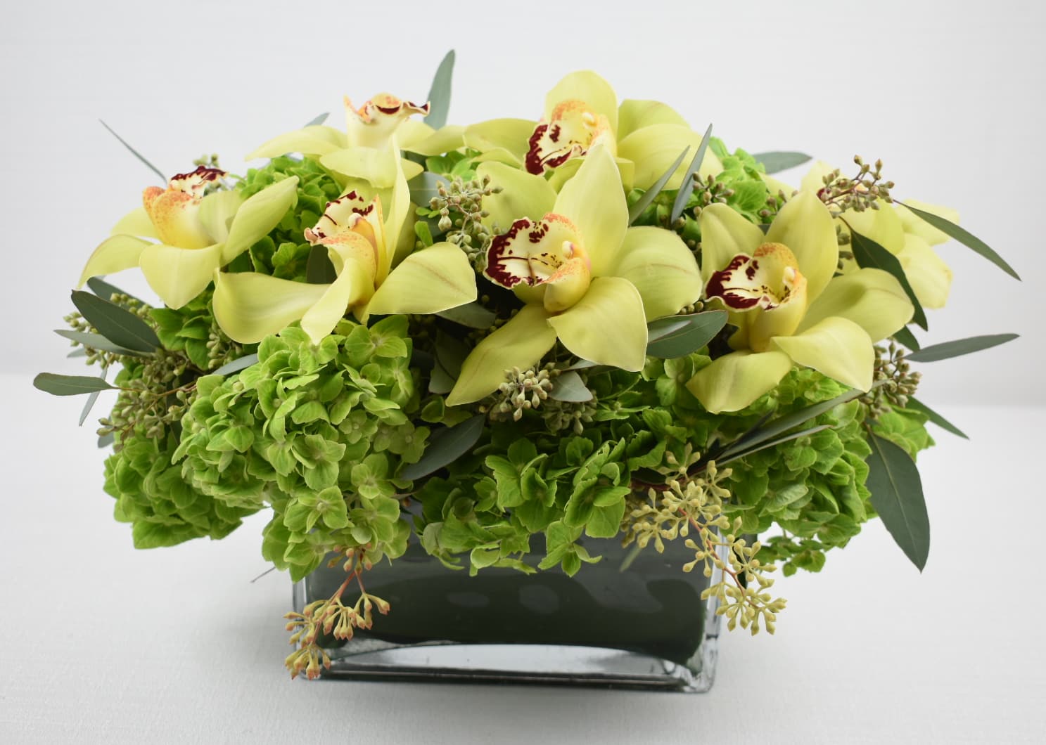 Lucky Charm - For all those lover of the green color  here is the perfect arrangement  In a rectangular vase green hydrangeas and green cymbidium orchids  perfect size for an office desk 