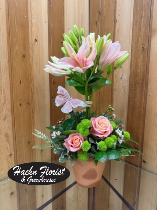 Blossoming Beauty -  Bright  lilies are uniquely arranged into a topiary and grounded in a warm terra-cotta pot overflowing with fresh greens. When you want to send something exciting and unexpected, this is your go-to guy. This topiary-style arrangement features tall lilies in a terra-cotta pot of assorted greens, roses and button chrysanthemums. Adorned with a decorative butterfly. Perfect for birthdays, celebrations, or simply brightening up any space, this arrangement brings a fresh, romantic touch to any setting.  SUBSTITUTION POLICY – Always deliver the freshest flowers! Please note the bouquet pictured reflects our original design.  If the exact flowers or container in this arrangement are not available, our local florists will create a beautiful bouquet with the freshest available flowers.