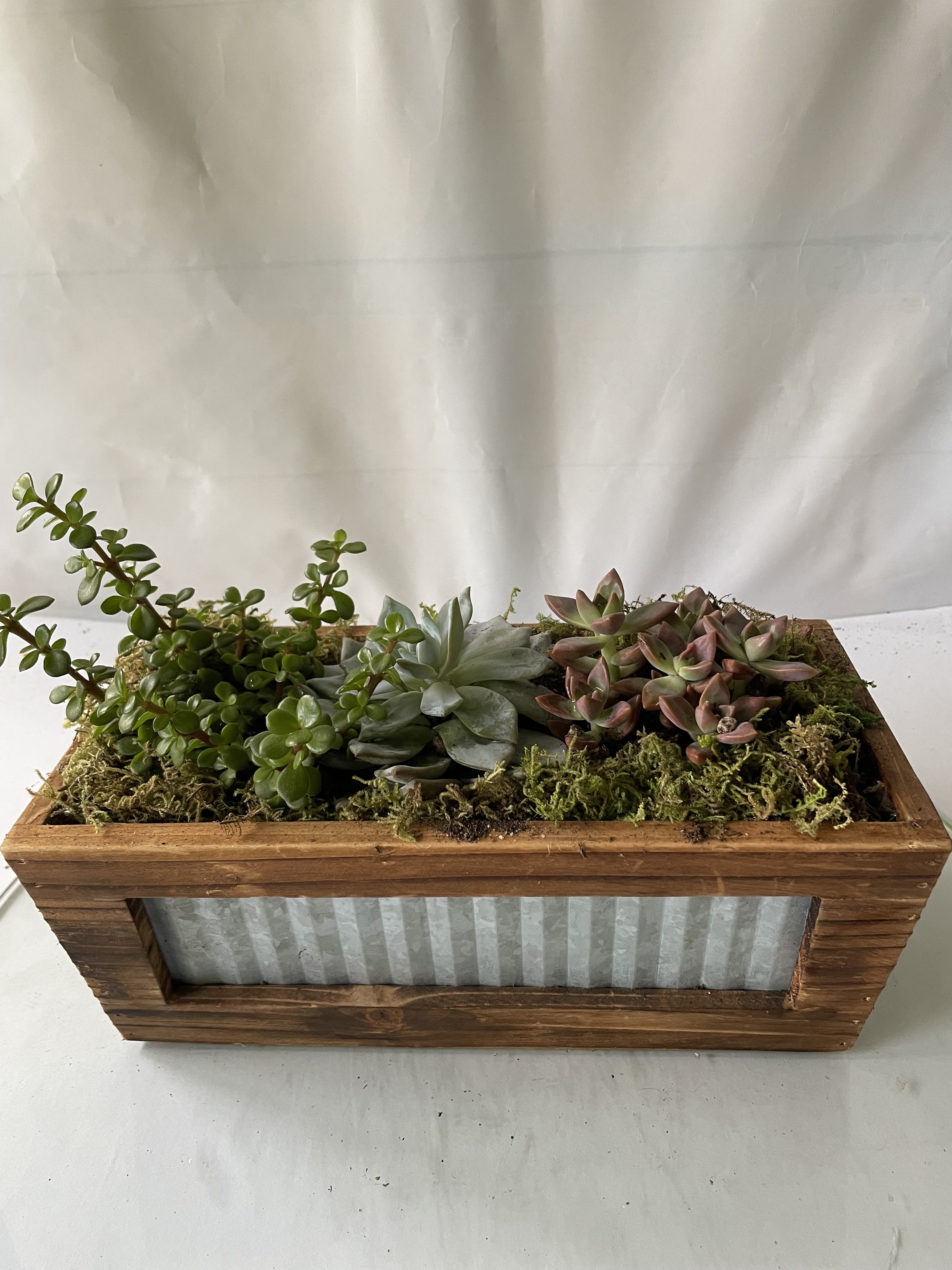 Filled With Love Succulents  - An all natural wood box filled with a beautiful variety of live succulent plants. Send this beauty to your someone special today! 