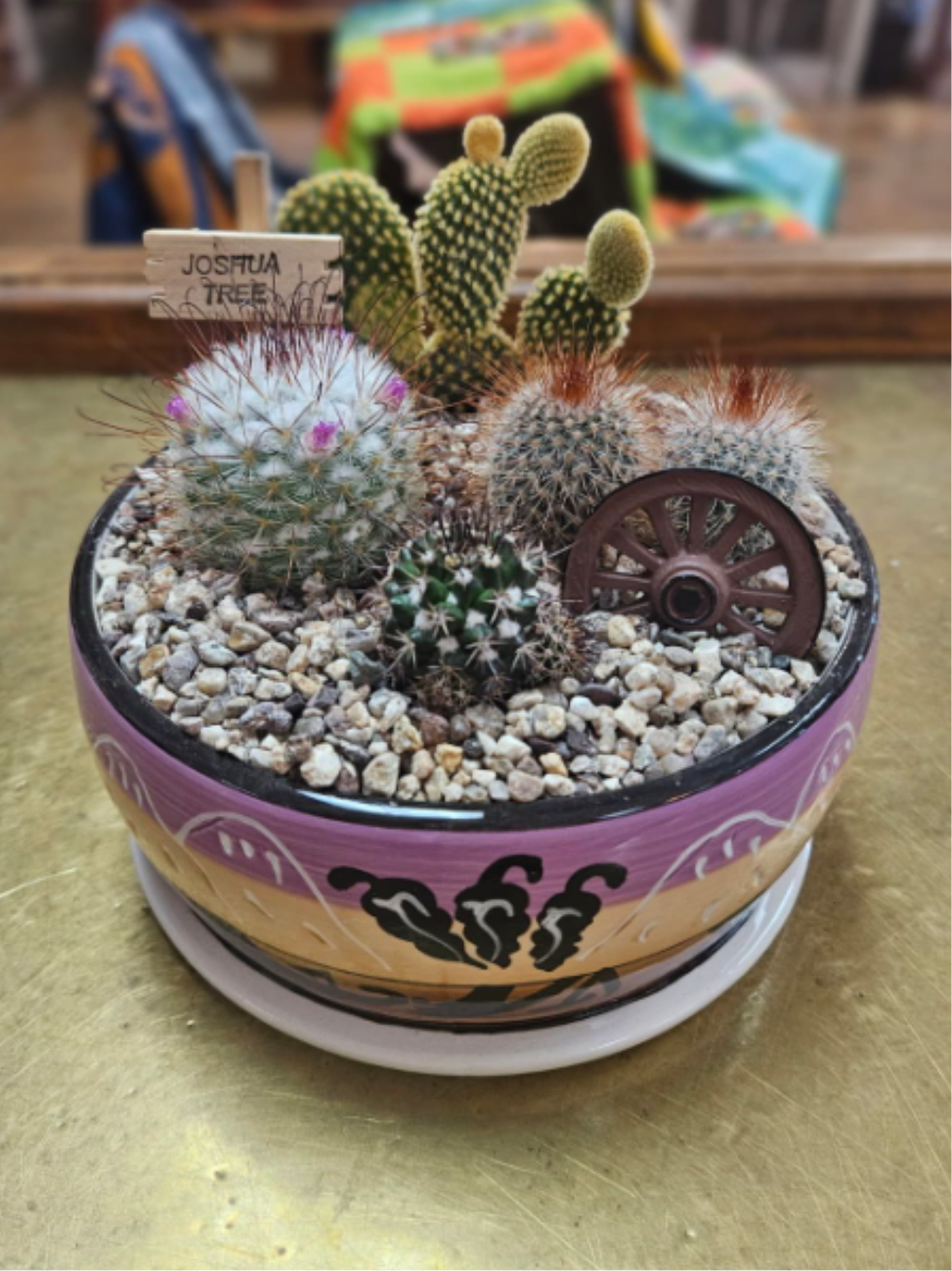 Hand-Painted Southwest Cactus Garden (Small) - 4 assorted cacti in a 6" ceramic container (pots come in assorted colors we will choose color upon availability) **signs vary to say Joshua Tree, Yucca Valley or Cactus Territory. If you have a preference, please specify**