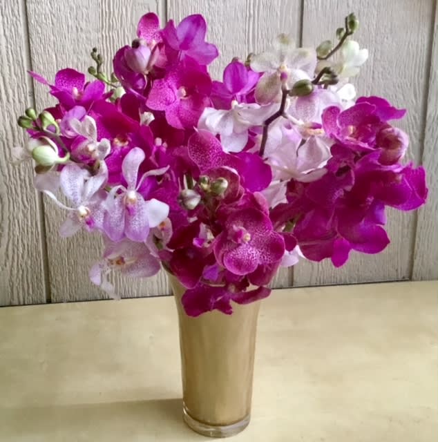 Pink and white orchids arranged in a tall glass vase