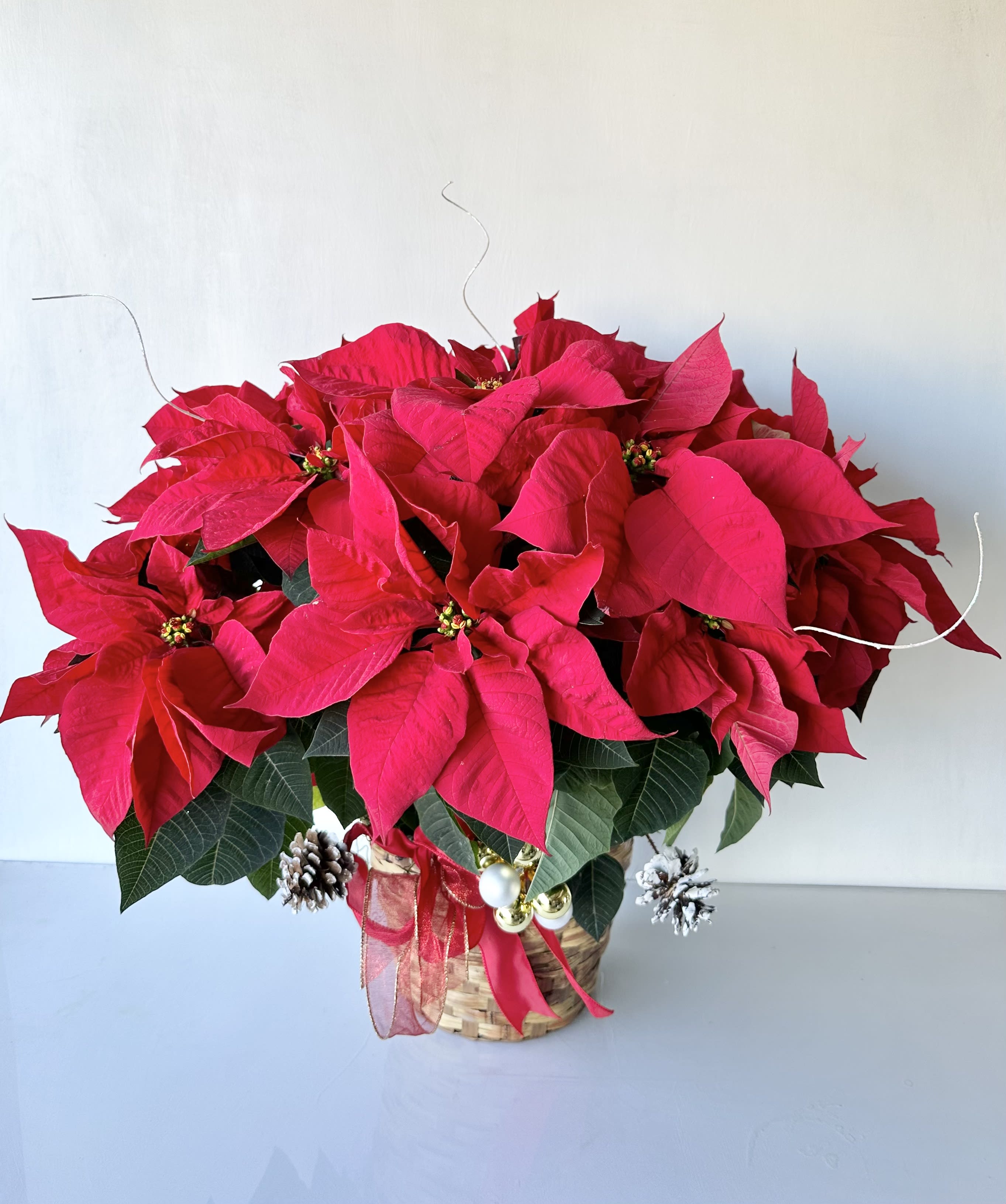 Red poinsettia arrangement in a woven basket with ribbon and ornaments