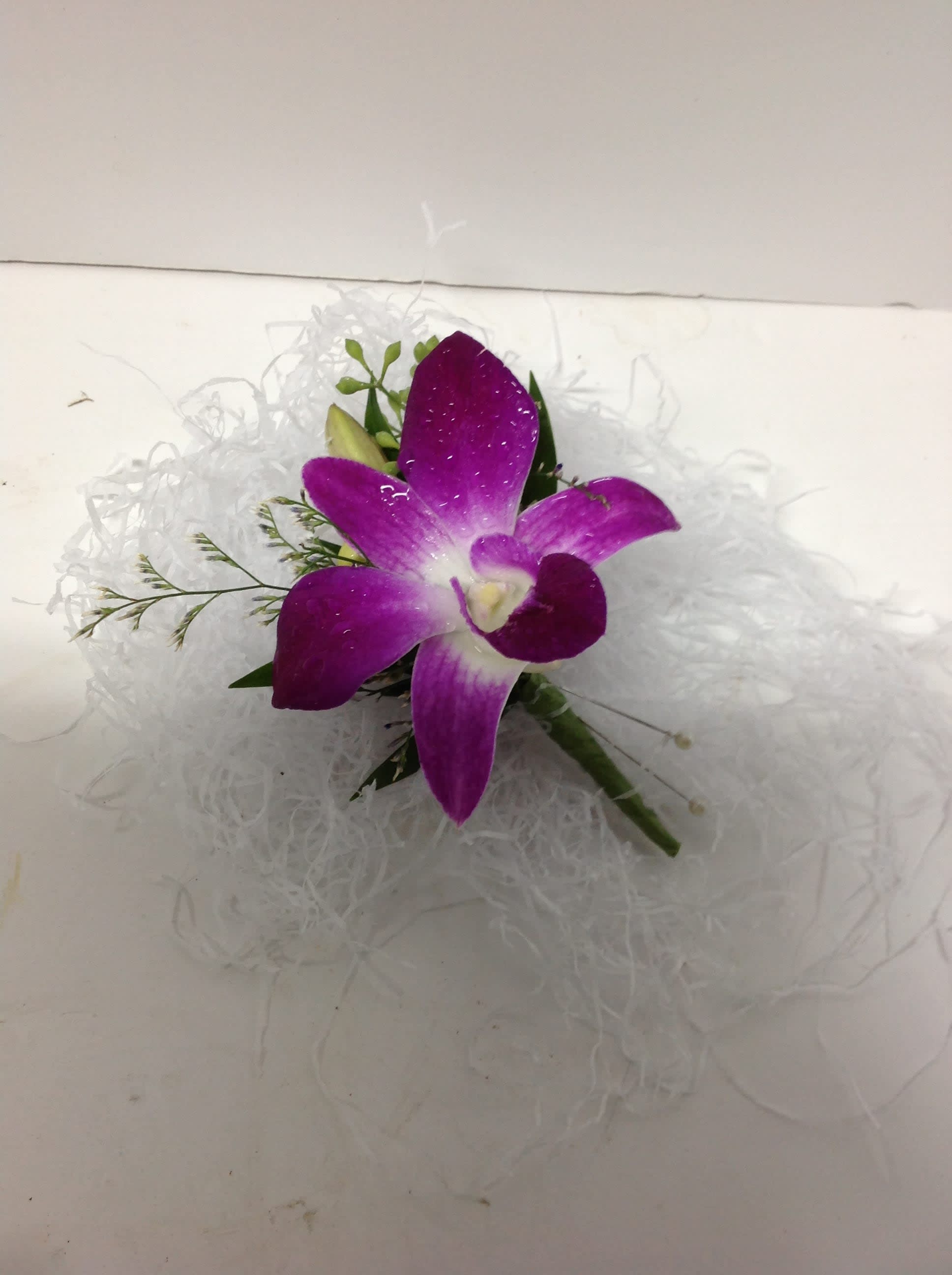 Purple orchid bloom with white filler on a white background