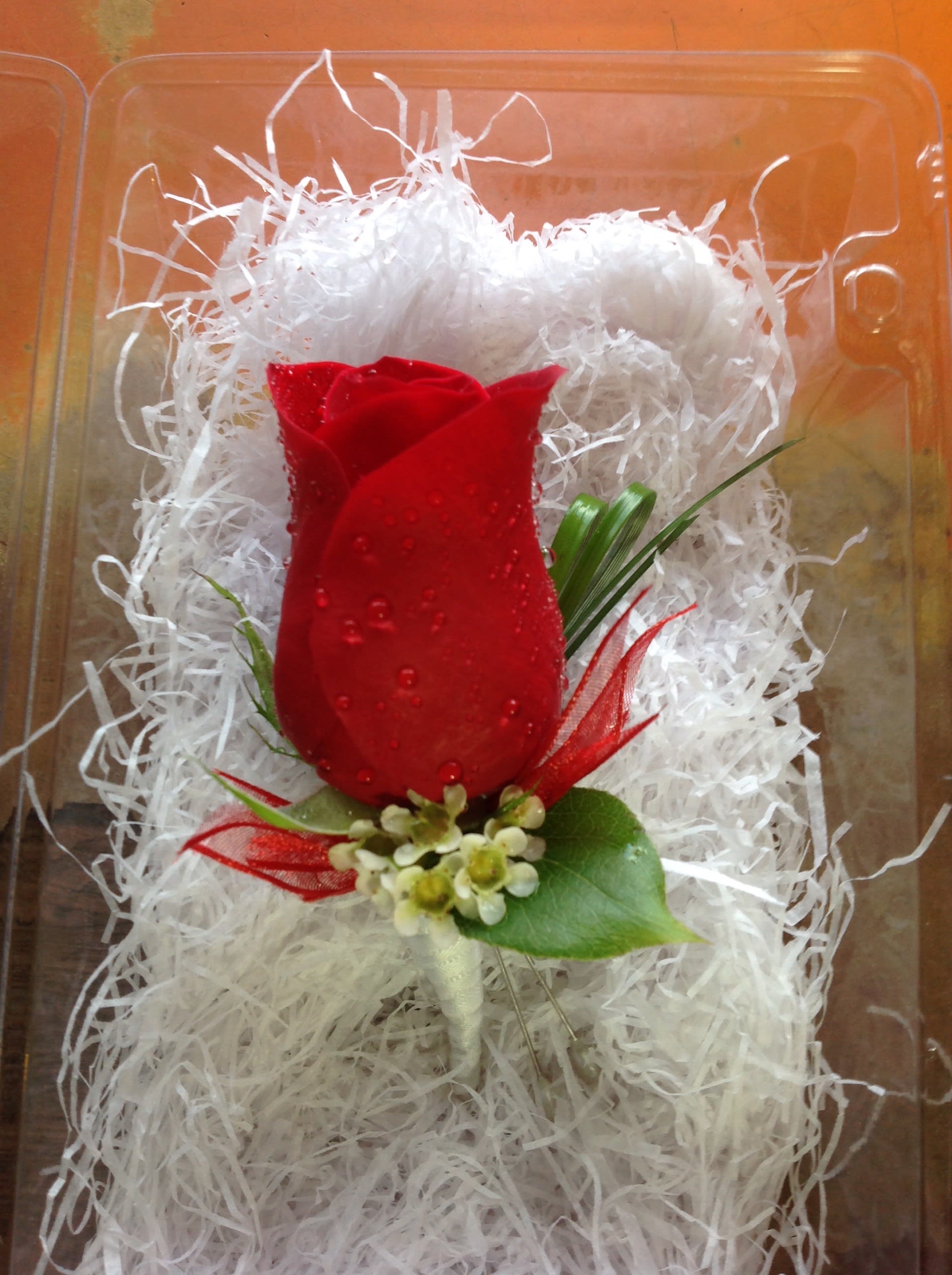Single red rose in a clear gift box with white filler