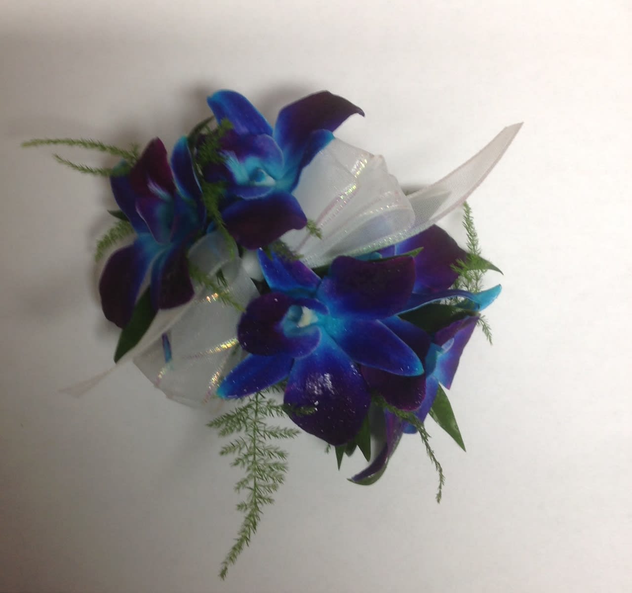 Blue and purple orchid corsage with white ribbon