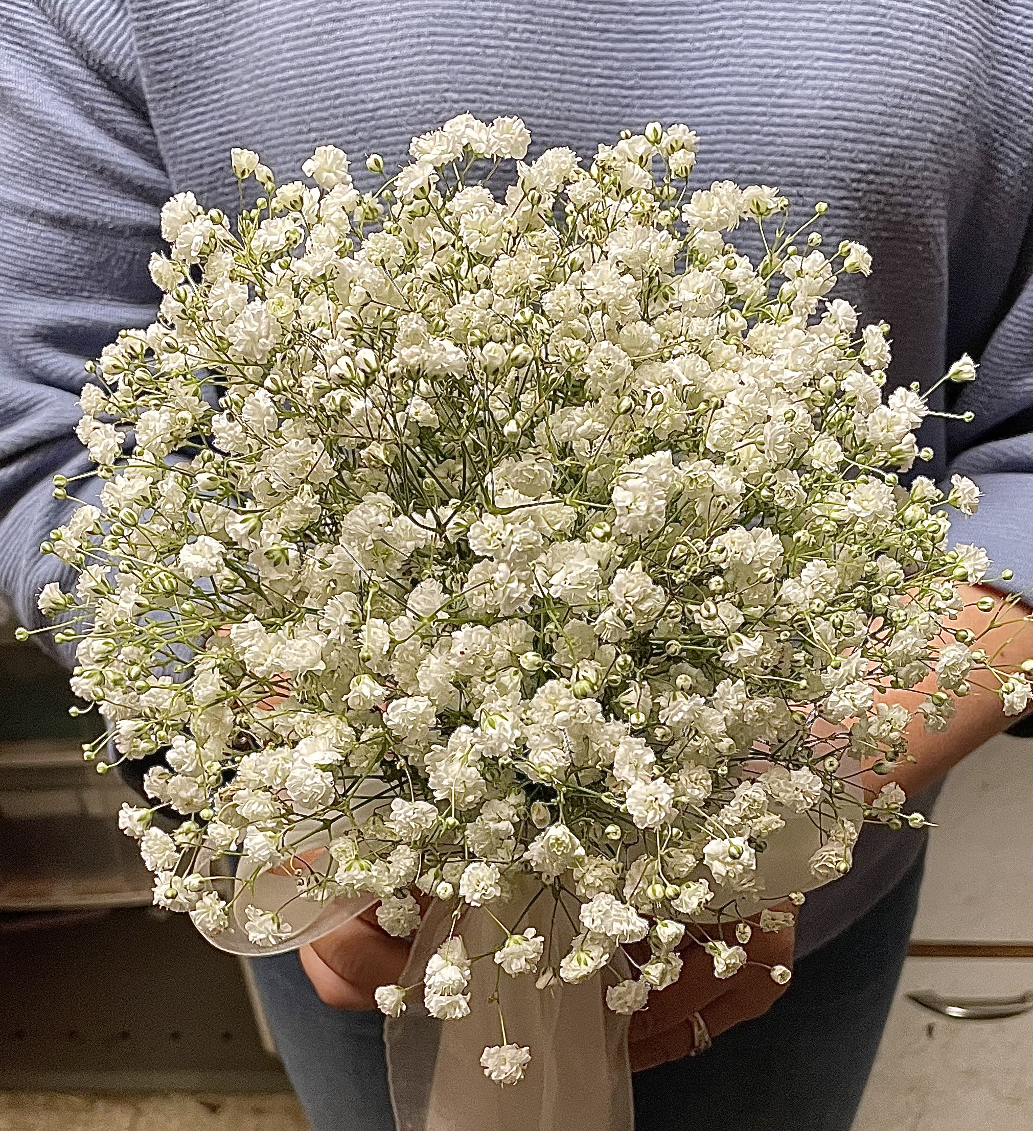 Handheld bouquet of small white flowers tied with a sheer white ribbon.