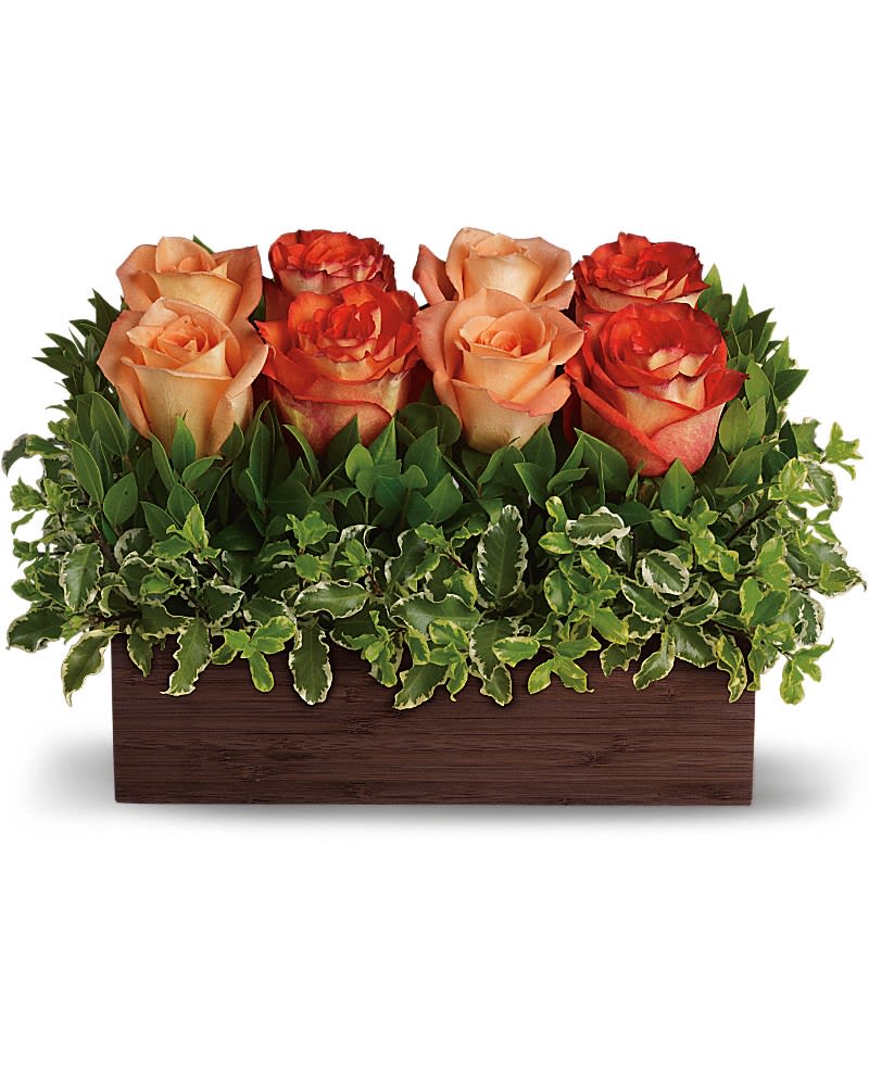 Low rectangular arrangement of orange and peach roses framed by variegated greenery in a dark wooden box.