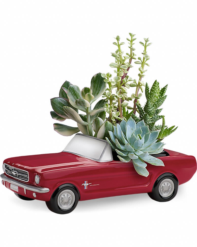 Assorted green succulents planted in a red vintage-style car ceramic planter