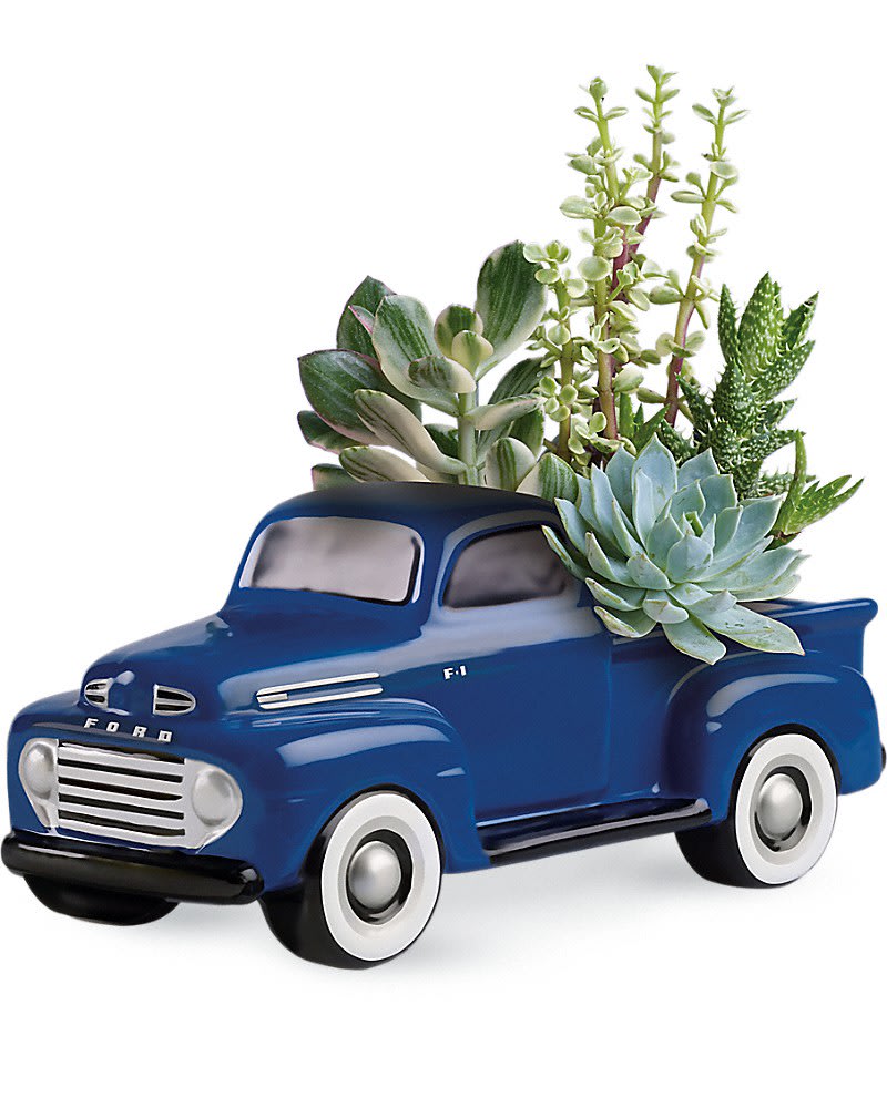 Blue pickup truck planter with assorted succulents