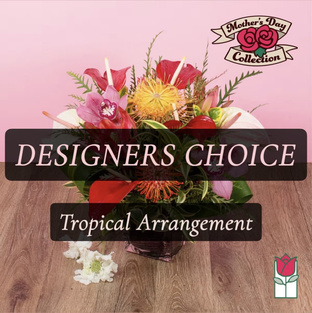 Designer's Choice Tropical Arrangement - Compact (Seasonal Varieties Vary) - Our designers will select fresh tropical blooms to create a beautiful arrangement for you.   Each arrangement will include a seasonal mix of tropical florals arranged in a low glass vase. 