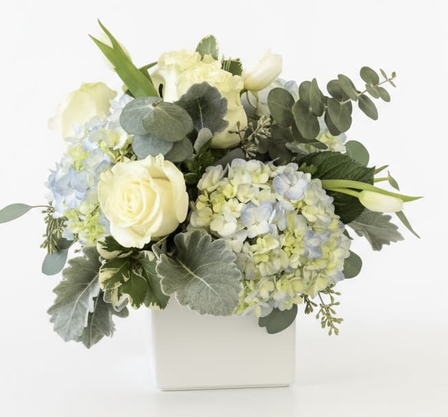 Cream roses and pale hydrangeas in a white box with eucalyptus