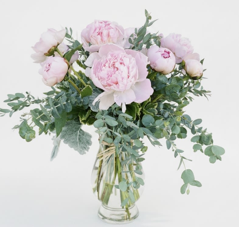 Glamour - Soft blush peonies clustered in a clear glass vase make an effortlessly romantic anniversary bouquet that reads just as sweet for a birthday, Mother's Day, or a "thinking of you" surprise. The round, full blooms and airy eucalyptus-like greenery create a fresh garden feel-perfect for saying "I'm sorry," celebrating a new baby, marking Valentine's Day, or simply sending love and thanks any time of year.  The arrangement pairs pale pink peony heads with cool blue-green, loose eucalyptus foliage for a gentle contrast and a light, elegant presence. Blooms are gathered low in a transparent glass vase so the soft petals and stems remain the focal point; the overall silhouette is lush but relaxed, ideal for spring and summer tabletops or a bedside bouquet.  Choose the size that fits your moment: Standard, Deluxe, or Premium will increase the number of peonies for a fuller statement. Care is simple-refresh the water every couple days, trim stems at an angle, and keep away from direct heat to let the recipient enjoy the fragrance and bloom for as long as possible.