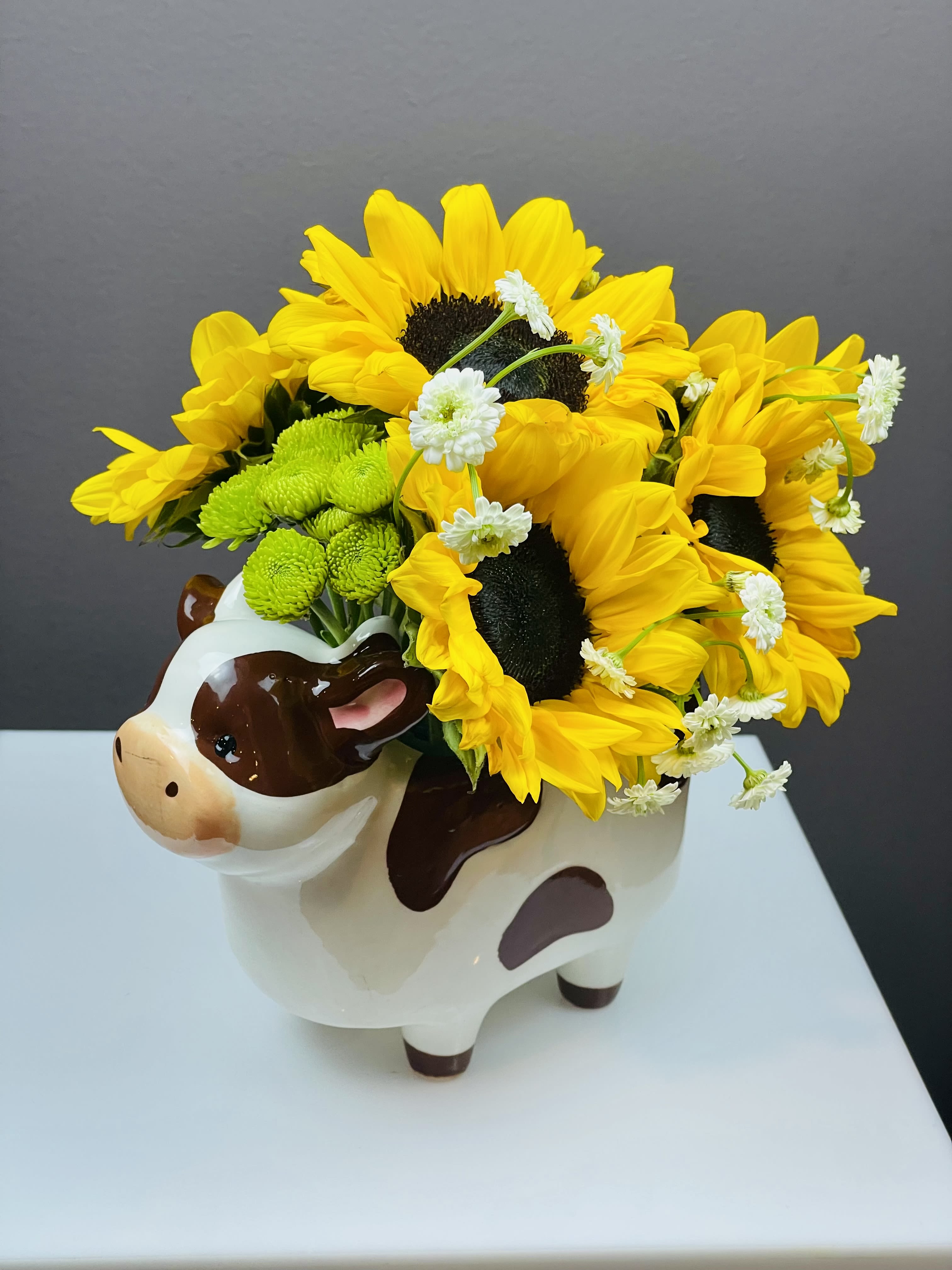 Country Charm Bouquet - Bring a touch of rustic sunshine into any space with the Country Charm Bouquet, a joyful blend of bright yellow sunflowers, soft white blooms, and fresh green accents arranged in an irresistibly whimsical cow‑shaped ceramic vase. This cheerful design captures the heart of country living — warm, welcoming, and full of personality.  Each bouquet is handcrafted with premium, farm‑fresh flowers chosen for their vibrant color and long‑lasting beauty. The playful cow vase adds a delightful keepsake element, making this arrangement perfect for birthdays, thank‑yous, housewarmings, or simply brightening someone’s day.  A little bit of farmhouse charm, a whole lot of happiness.