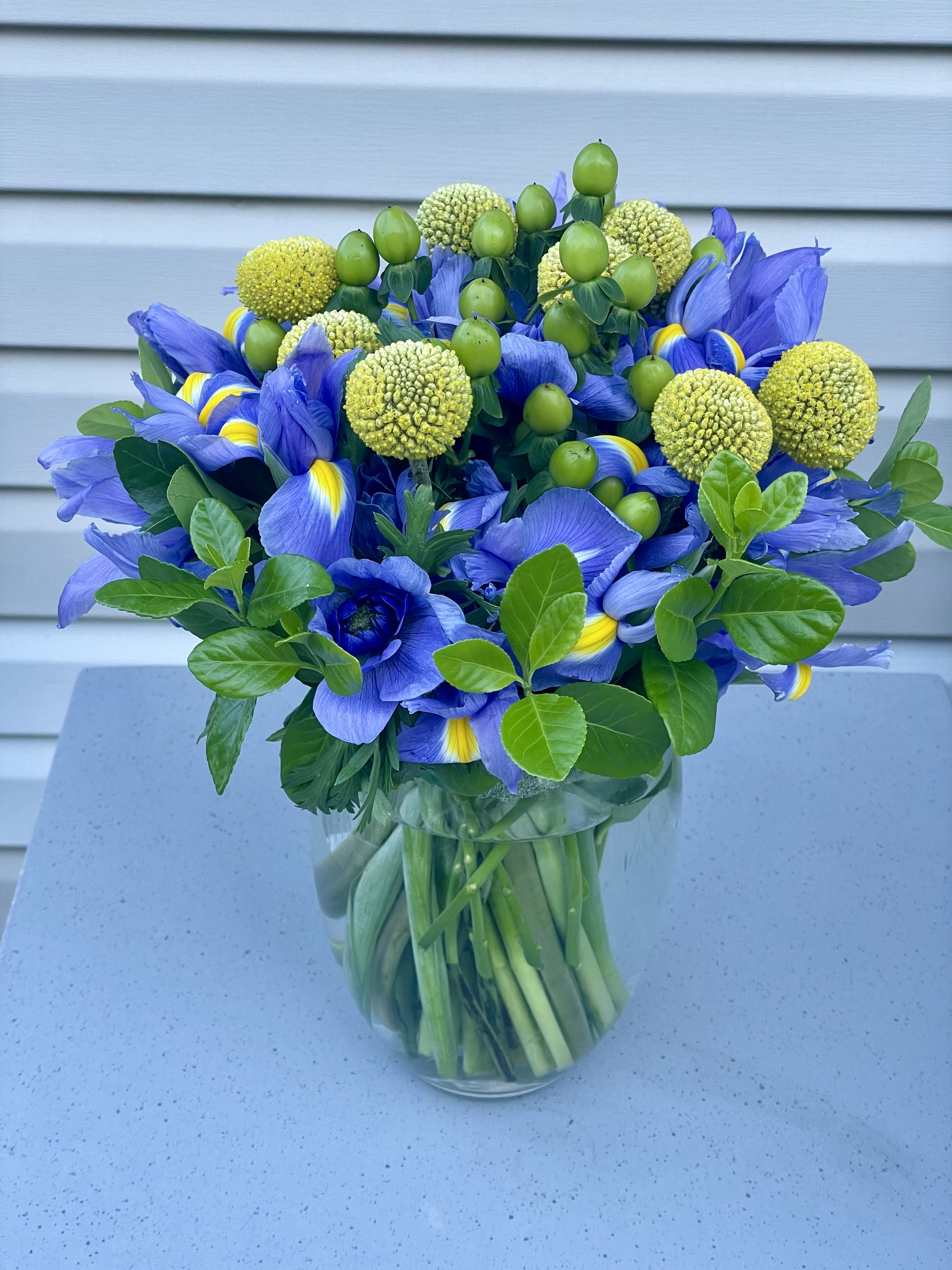 Blue Skies Bouquet - This vibrant arrangement features rich blue irises, sunny yellow billy balls, and fresh green hypericum berries, artfully gathered with lush foliage in a clear glass vase. The bold contrast of blue, yellow, and green creates a refreshing, modern look that instantly brightens any room. Designed to feel both natural and contemporary, this bouquet is perfect for birthdays, thank‑yous, celebrations, or simply bringing a pop of color into your home. Handcrafted with premium, long‑lasting blooms, it’s a cheerful statement piece that radiates joy and elegance.