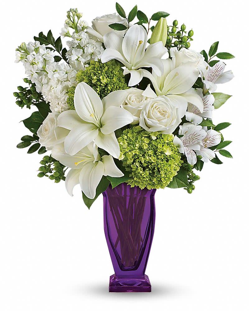 Teleflora's Moments Of Majesty Bouquet - Pure majesty. Snow white lilies and crisp green hydrangea make this bouquet a breath of fresh air on any occasion while an exclusive violet Couture vase makes it a gift they'll enjoy for years to come. This majestic bouquet features miniature green hydrangea white roses white asiatic lilies white alstroemeria green hypericum white stock huckleberry and lemon leaf. Delivered in a violet Couture vase.