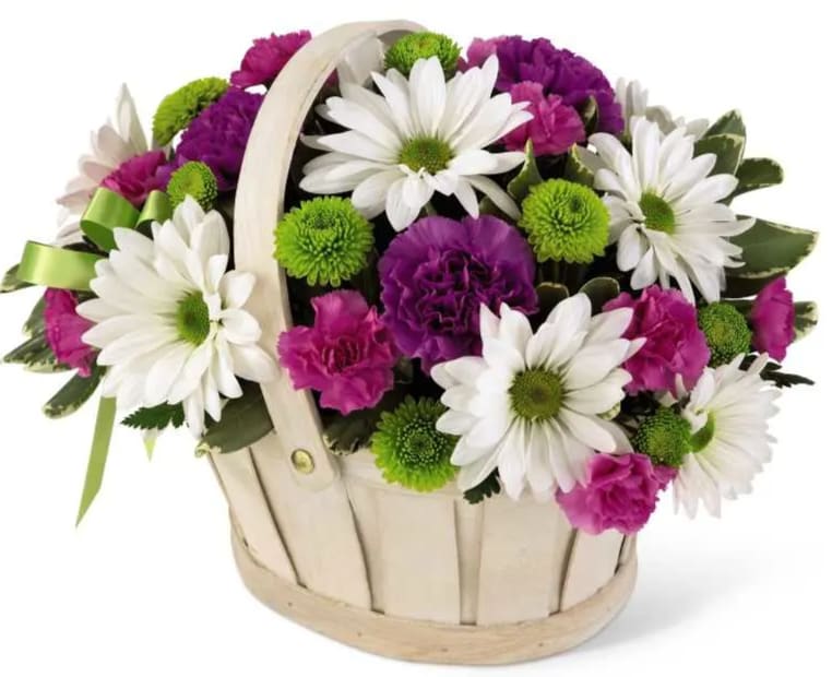 Blooming Bounty - This pretty basket is sure to cheer up anyone's day. This white-wash handled basket is filled with green button pompons, white daisy pompons, hot pink mini carnations and purple carnations. A lavender ribbon bow completes your best wishes. Basket/containers vary.