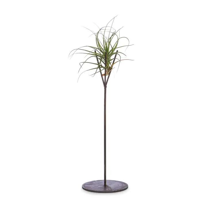 Potted dracaena plant on a tall stand