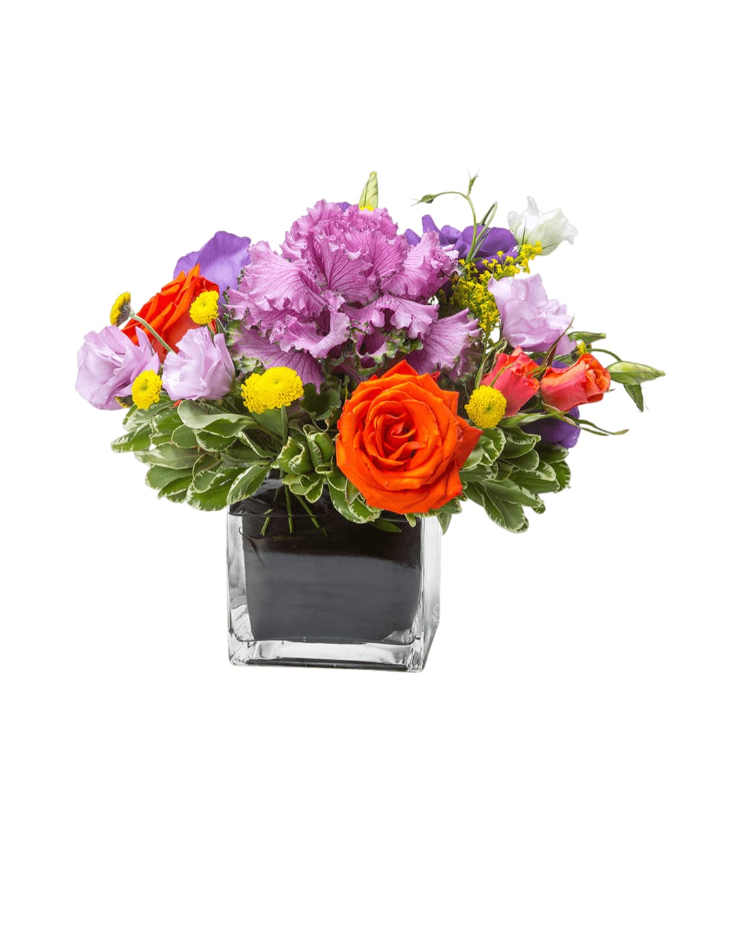 Vibrant Variety  - This arrangement is seeking a comfortable home. It is willing to impress, please, and wow your recipient in exchange for a place to stay. Does that sound reasonable to you? 