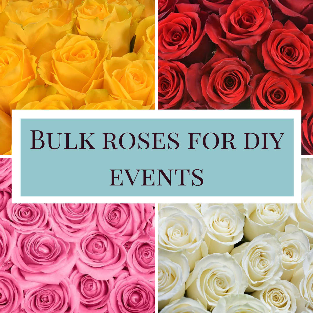 Bulk Roses for DIY - Bulk roses, perfect for your DIY weddings and special events. Please note in the special instructions your choice of color. Colors available: Red, white, yellow, dark pink, light pink, purple, lavender, peach or orange. Please call the shop if you are seeking specific varieties of roses. Roses can be picked up or delivered and will be professionally processed, cleaned and hydrated- ready for you to create!   *1 week notice required*  *Local Delivery in the Minneapolis/St. Paul/ Lake Minnetonka and surrounding areas only. Not available for nationwide shipping at this time* 