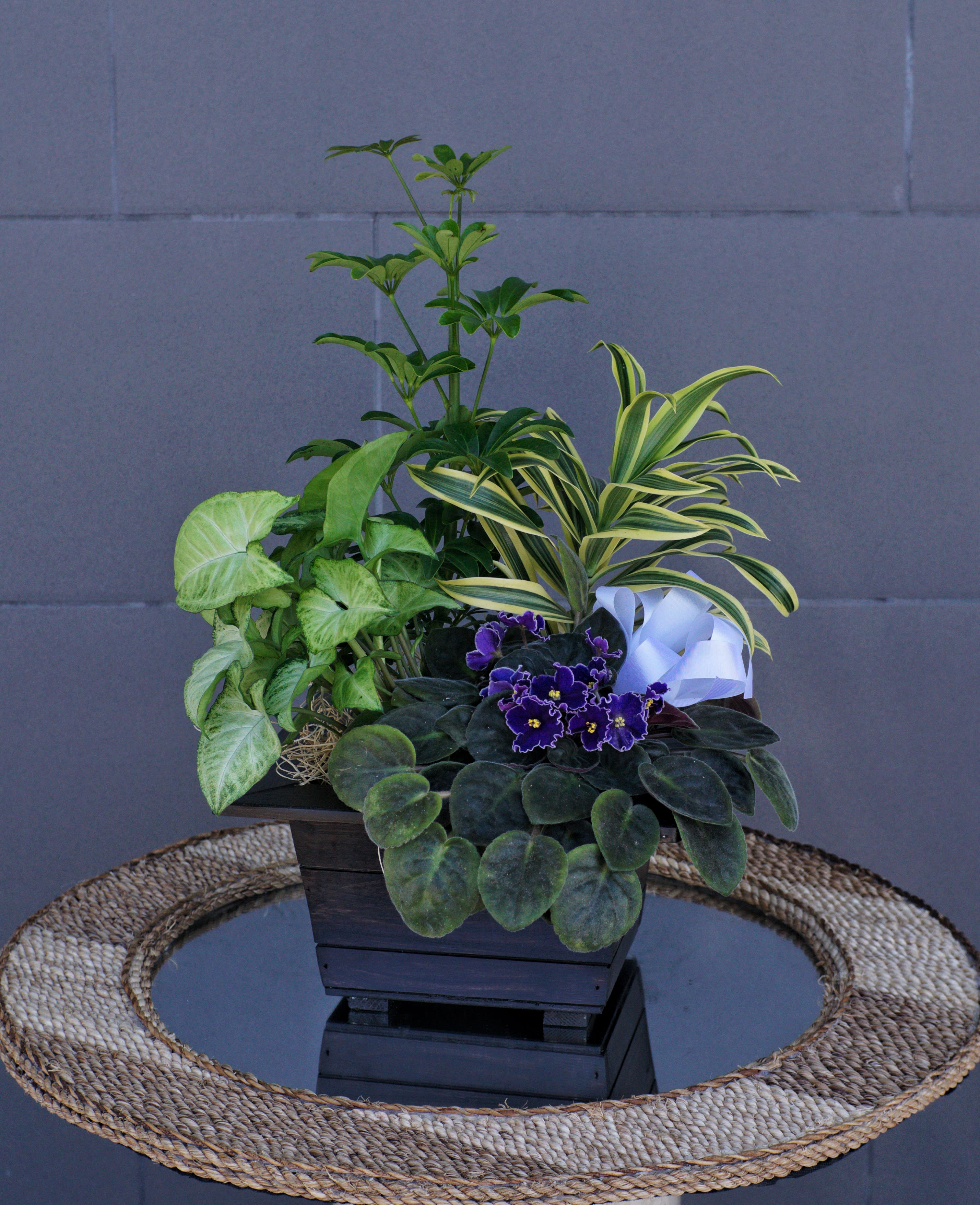 Mixed potted plants in a dark wooden planter with a white ribbon