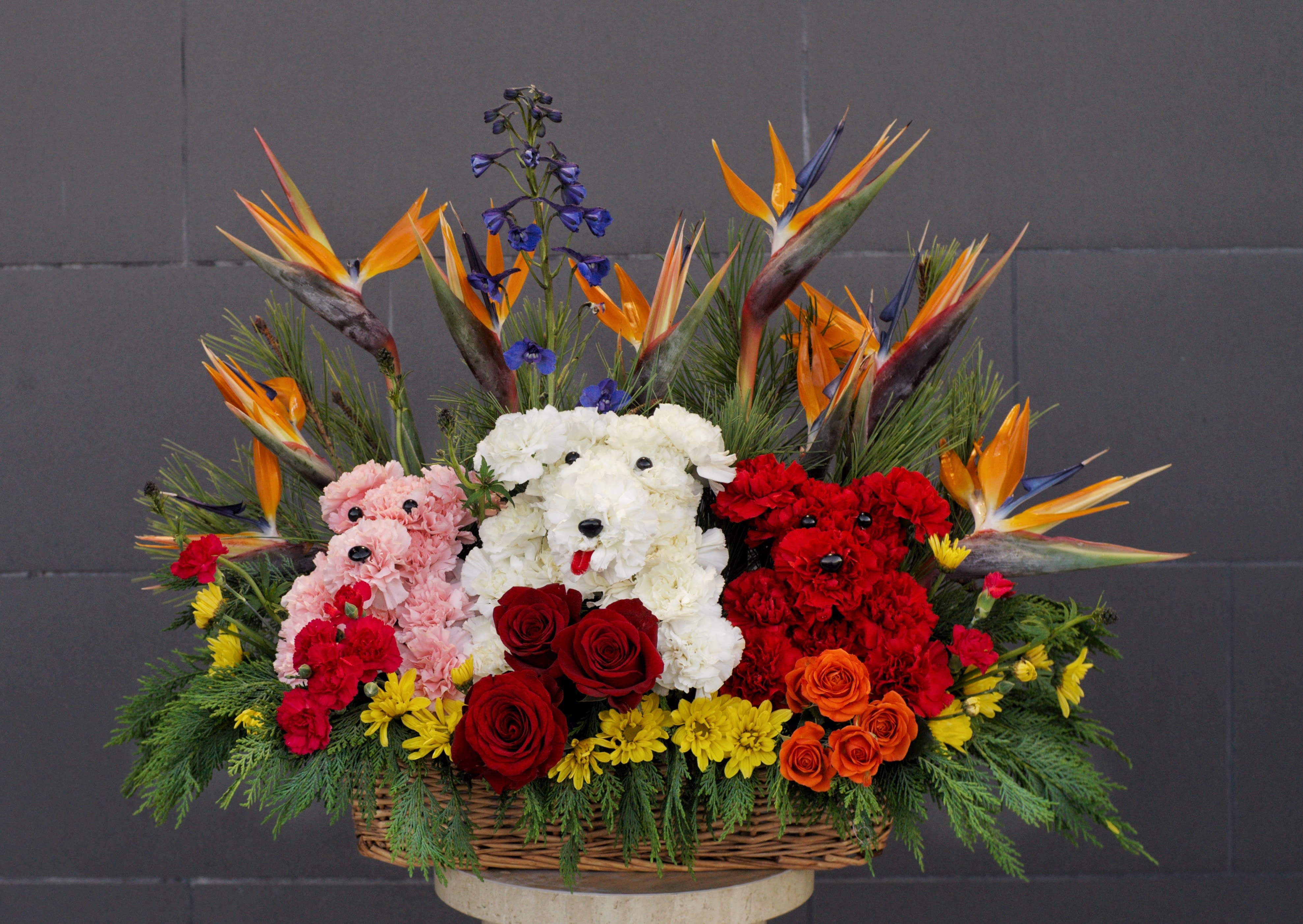 Basket arrangement with teddy bear-shaped flowers, roses, and bird-of-paradise blooms