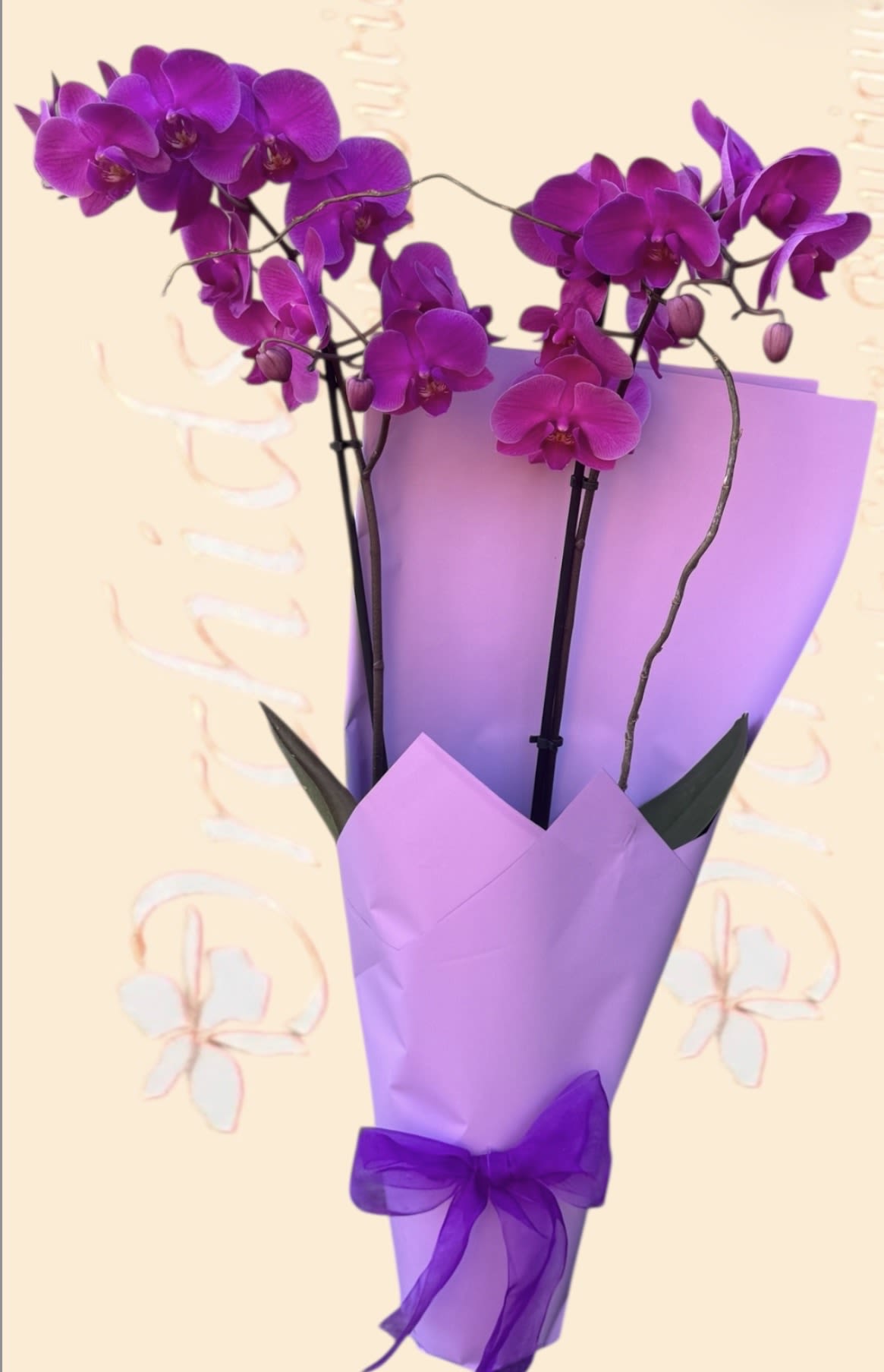 Purple orchid bouquet wrapped in lavender paper with a ribbon