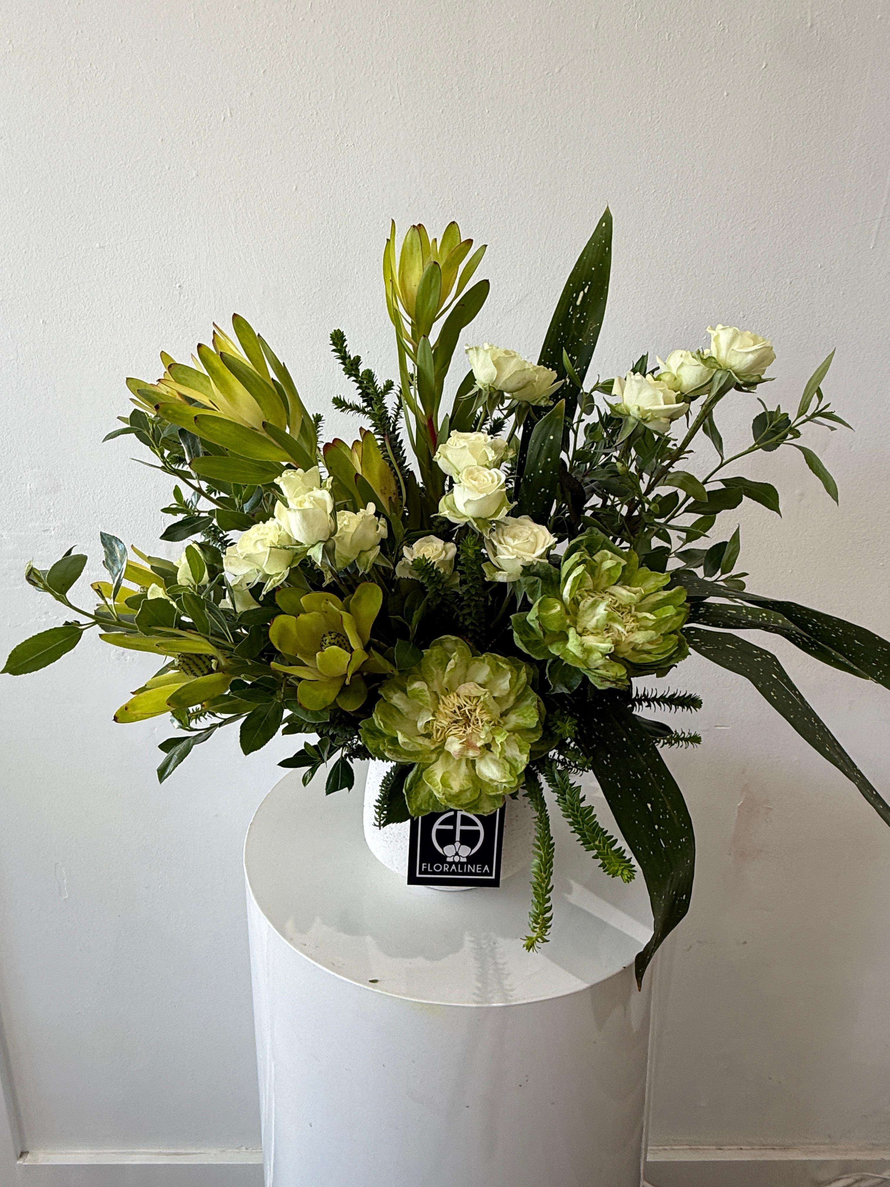 50 Shades of Green - Giving green the justice it deserves with our leading lady the veggie rose