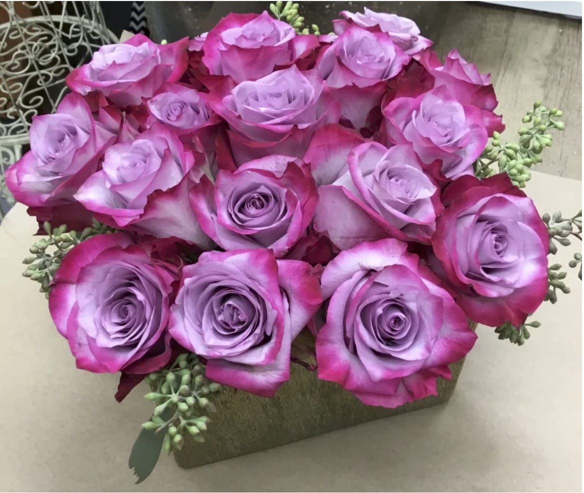 Deep Purple Roses 12, 18 or 24 - Pave arrangement of deep purple roses.
