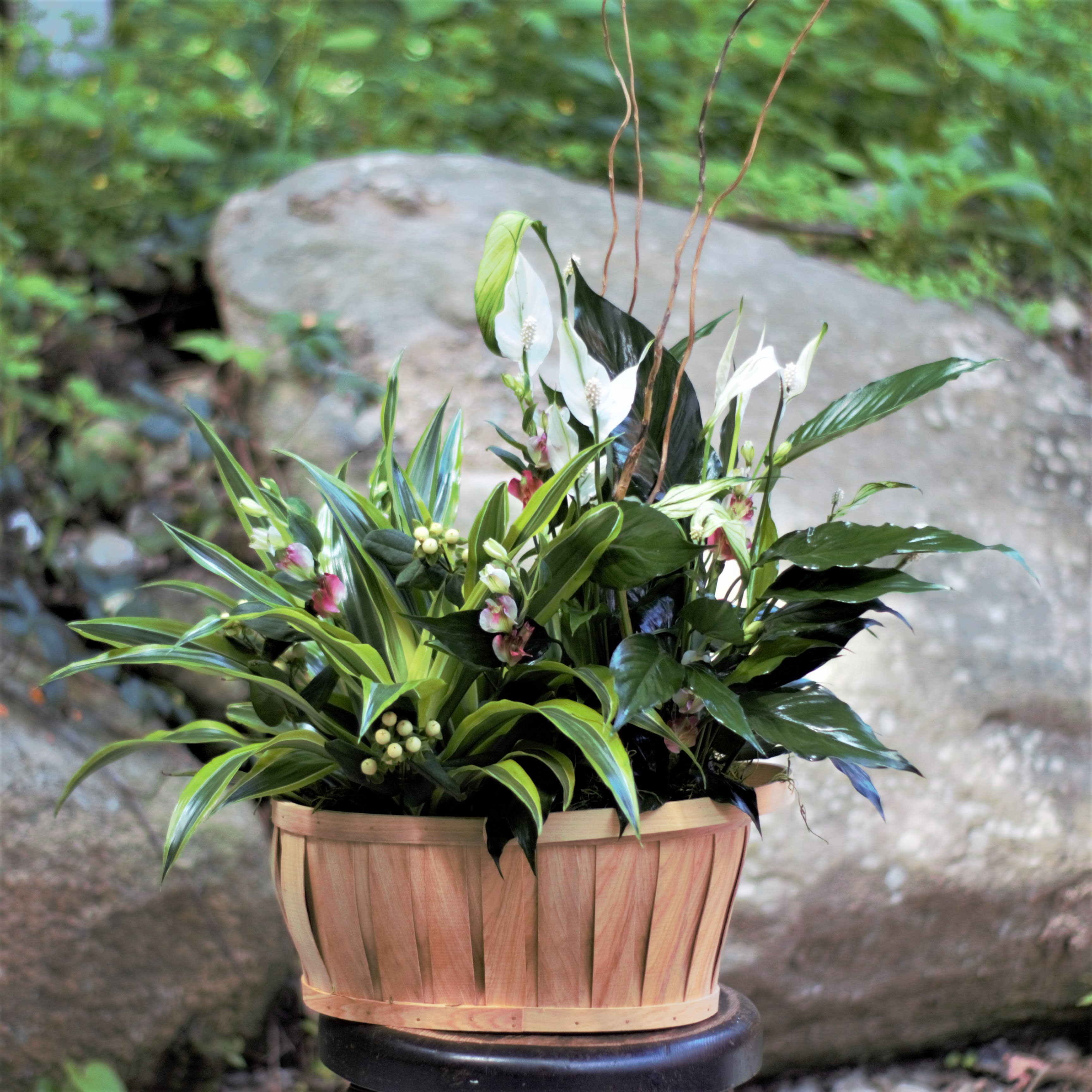 Basket arrangement with white peace lilies and variegated foliage